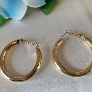 Elegant Hoop Earrings